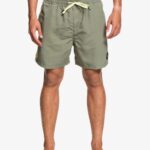 Sustainable Swimshorts – Quiksilver 16″ Beach Please.